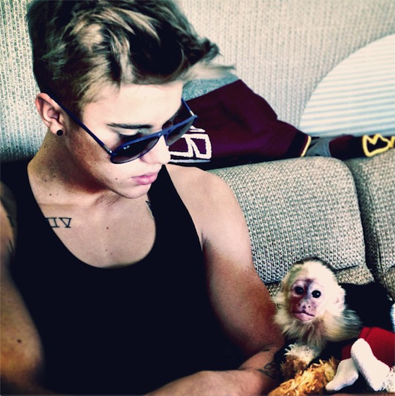 Justin Bieber, Monkey Justin Bieber, Monkey